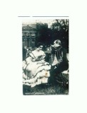 F FOTO-81 -Violetes Imperiales -antebelica