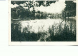 CP89-30 -Vedere Lacul Ursu -circulata 1961.