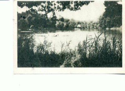 CP89-30 -Vedere Lacul Ursu -circulata 1961. foto