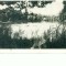 CP89-30 -Vedere Lacul Ursu -circulata 1961.