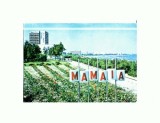 CP137-41 Mamaia -circulata 1980