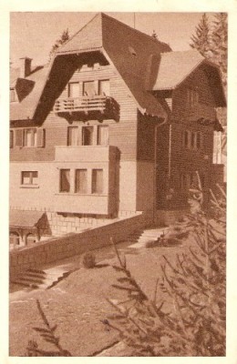 R364 Borsec marca fixa 40 bani foto