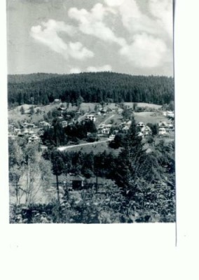 CP56-48-Poiana Tapului-Vedere spre Zamora-RPR-necirc.,blanc. foto