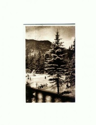 CP121-76 Tusnad -In parc -sepia -RPR - circulata 1954 foto