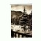 CP121-76 Tusnad -In parc -sepia -RPR - circulata 1954