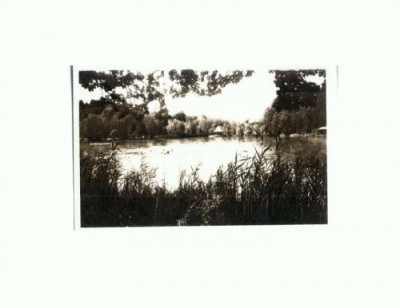 CP121-80 Sovata -Lacul Ursu -sepia -RPR - necirculata foto