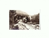 CP121-84 Sovata -In parc -sepia -RPR - necirculata