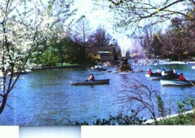 CP13-Bucuresti-Gradina Cismigiu foto