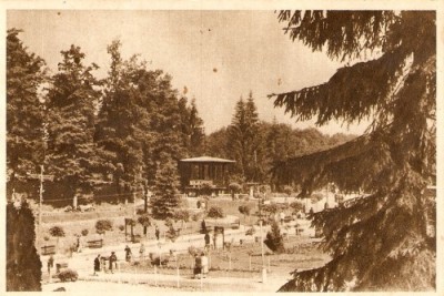 R529 RPR Sovata 694 IPI circulat foto