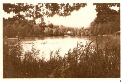 R533 RPR Sovata necirculat foto