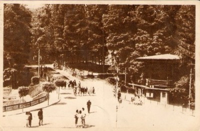 R538 RPR Sovata 229 IPI circulat foto