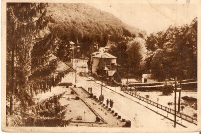 R539 Sovata RPR 228 IPI circulat foto