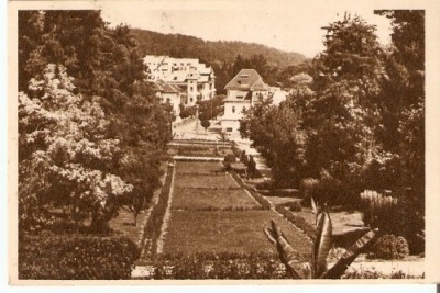 R478 Govora circulat RPR foto