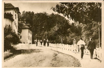 R479 RPR Govora circulat foto