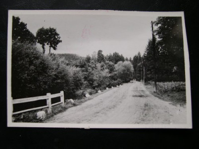 Valcele (Elopatak), jud. Covasna -- Drumul spre statiune foto