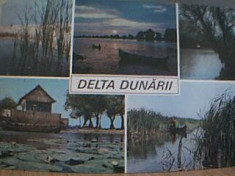 DELTA DUNARII 5 IMAGINI DIN 1971 foto