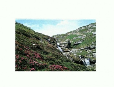 CP139-39 Muntii Bucegi -Valea Jepilor -circulata 1979 foto