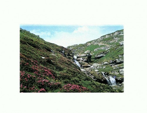 CP139-39 Muntii Bucegi -Valea Jepilor -circulata 1979 CP139-39 Muntii Bucegi -Valea Jepilor -circulata 1979