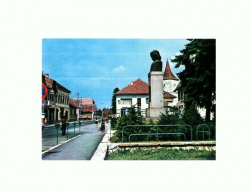 CP146-76 Avrig -Vedere -circulata 1981
