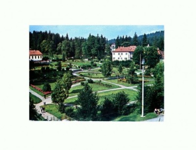 CP140-24 Borsec -circulata 1975 foto