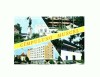 CP140-91 Campuluig Muscel -circulata 1980
