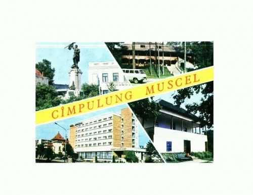 CP140-91 Campuluig Muscel -circulata 1980