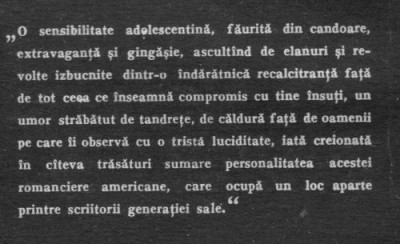 Carson Mccullers - In vara aceea verde... foto