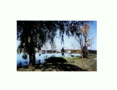 CP133-11 Vedere din Sambata de Sus -necirculata foto