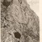 2807 Pestera Cheile Turzii Cluj 1904 Superba