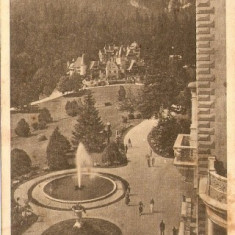 2765 Sinaia Terasa Castelului Peles 1927