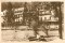 Foto  - 1
