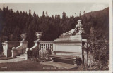 2425 Sinaia Castelul Peles terasa foto UNC ant 1945