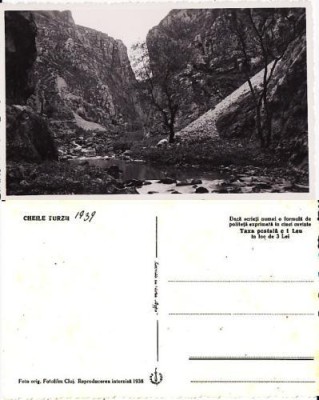 Cheile Turzii ( Cluj ) foto