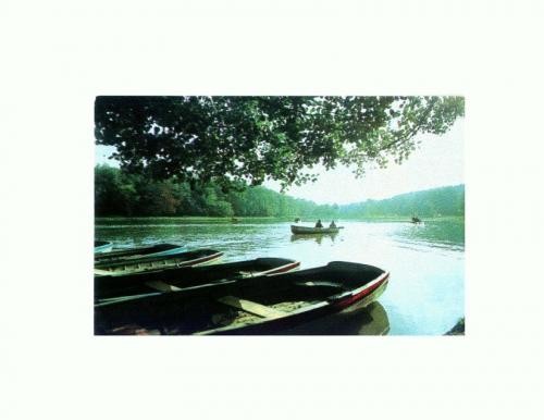 CP134-04 Sibiu, Lacul din Dumbrava -circulata 1968