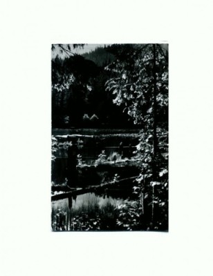 CP147-11 Vedere din statiunea Lacul Rosu -RPR -necirculata foto