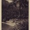 2528 Tusnad Lacul Ciucas UNC ant 1943