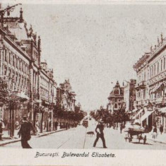 Bucuresti, bulevardul elisabeta, animat, unc, interbelic