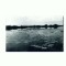 CP123-20 Delta Dunarii -Lacul Tatarului -circulata 1967