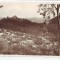 Cisnadioara, vedere generala cu cetatea, necirculat 1942