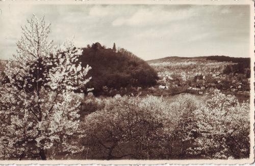 Cisnadioara, vedere partiala cu cetatea, necirculat 1941 Cisnadioara, vedere partiala cu cetatea, necirculat 1941