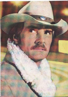 Actori,cantareti celebri 11- Dennis Weaver foto