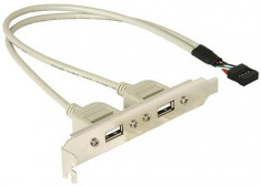 Placa cu conectori 1x intern USB la 2x USB2.0 extern-71000 foto
