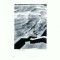 CP123-90 Eforie -La plaja -RPR - circulata 1960