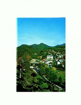 CP134-99 Olanesti -necirculata foto