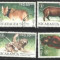 NICARAGUA 1990 - ANIMALE SALBATICE, serie stampilata B4