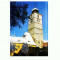 CP135-67 Turnul Sfatului -Sibiu -necirculata