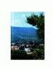 CP135-03 Olanesti -Vedere -circulata 1968