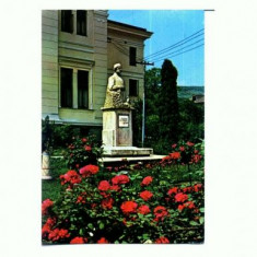 CP135-30 Ramnicu Valcea, Statuia lui Anton Pann -circ. 1979