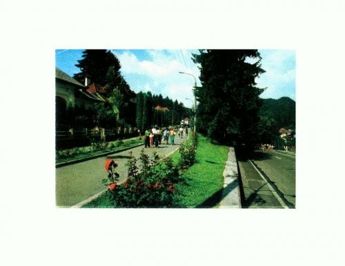 CP135-07 Olanesti -Aleea Trandafirilor -necirculata CP135-07 Olanesti -Aleea Trandafirilor -necirculata