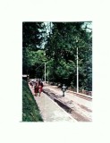 CP135-06 Olanesti -Vedere -necirculata
